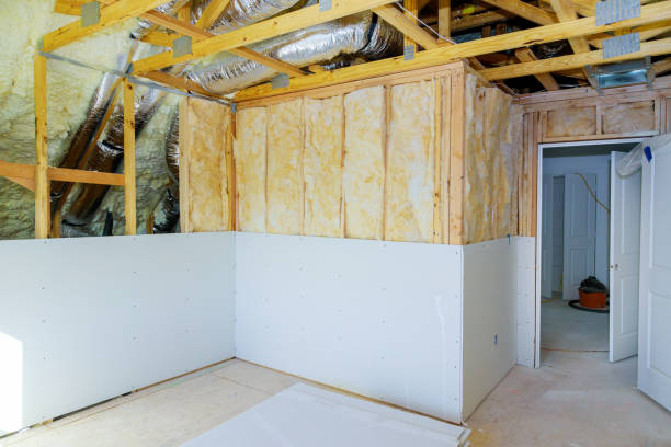 Best Local Insulation Services  in Cheboygan, MI