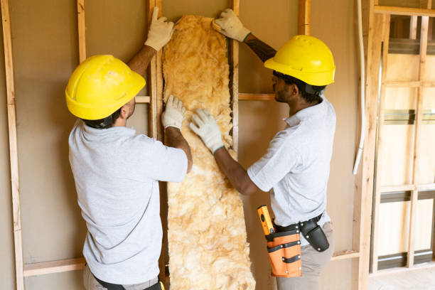 Insulation Inspection Services in Cheboygan, MI