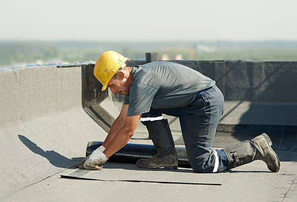 Best Insulation Repair Services  in Cheboygan, MI
