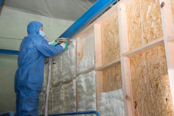 Best Energy-efficient Insulation  in Cheboygan, MI